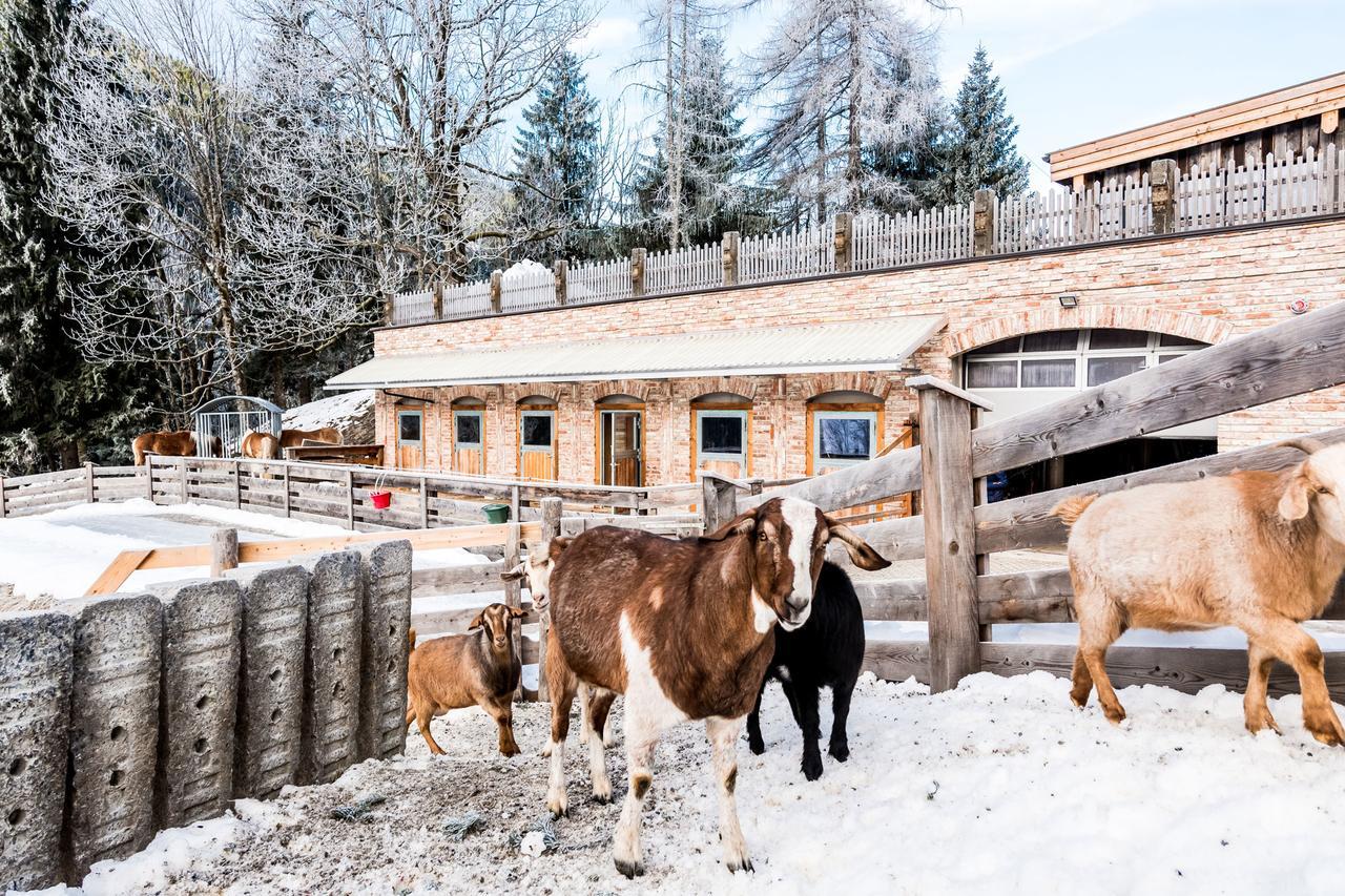 Вілла Peakini Farmhaus Унтертауерн Екстер'єр фото