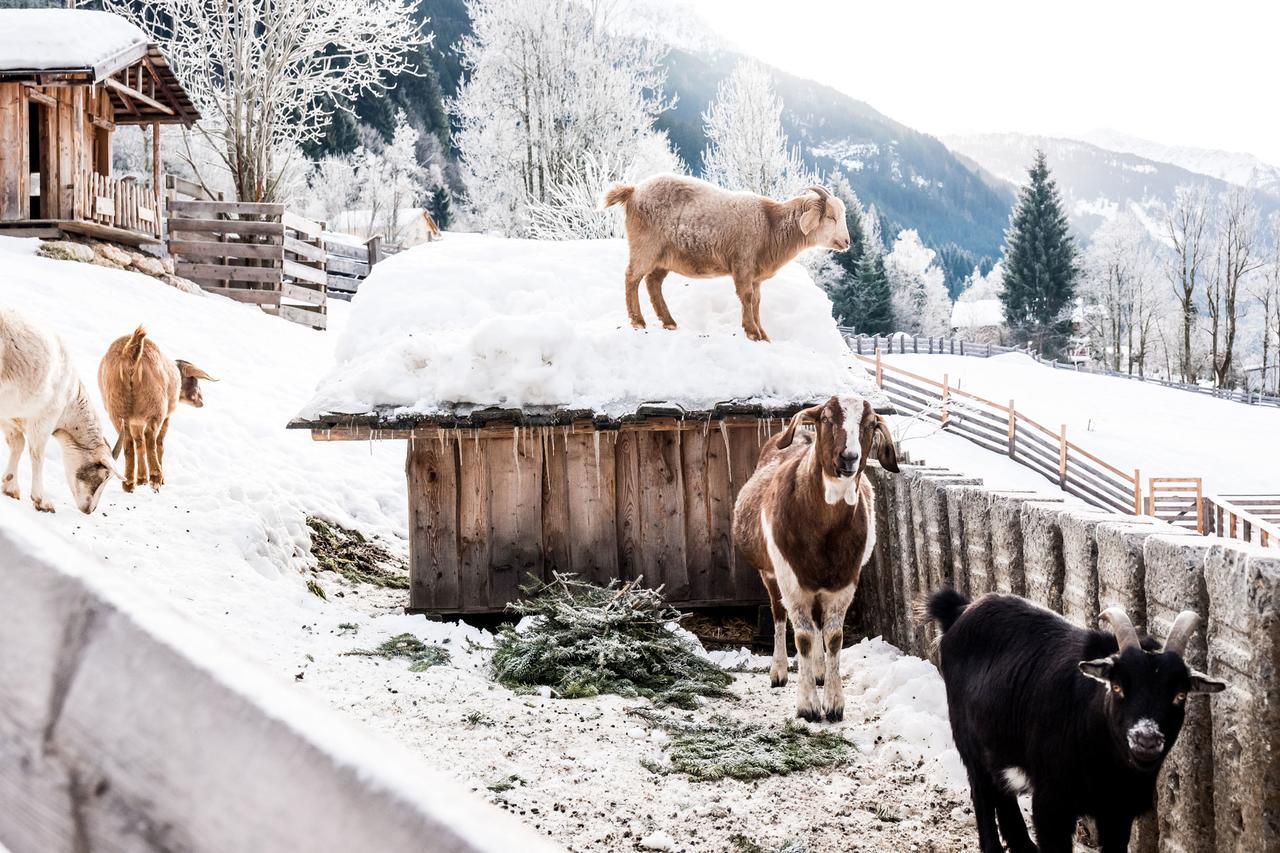 Вілла Peakini Farmhaus Унтертауерн Екстер'єр фото