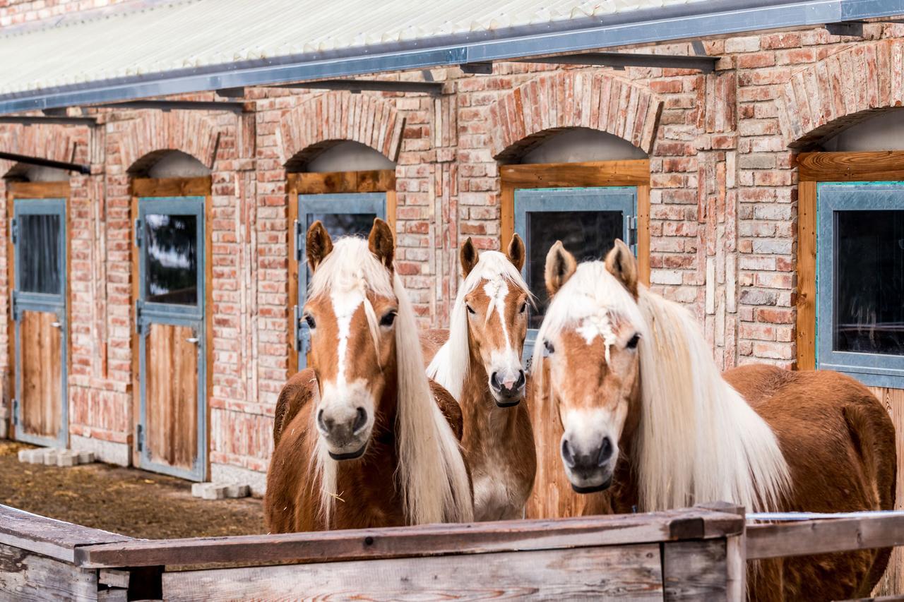 Вілла Peakini Farmhaus Унтертауерн Екстер'єр фото